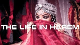 The Life in Harem Documentary [upl. by Jenette]