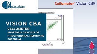 Imagebased Analysis of Mitochondrial Membrane Potential [upl. by Blair]