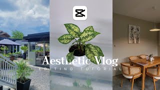 Cara Edit Video Cinematic Vlog Di Capcut  Tutorial Edit Aesthetic Vlog [upl. by Ellinger594]