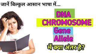 Difference between DNA Chromosome Gene and Allele  Cell biology  Biology [upl. by Gaughan]