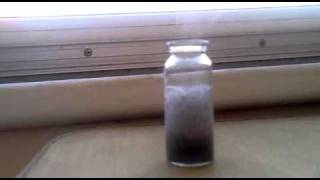 Reaction of Aluminum with Water and Sodium Hydroxide [upl. by Wiseman479]