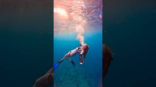 🖤 underwater freediver freediving sunset asmr asmrsounds satisfyingsounds [upl. by Henni]