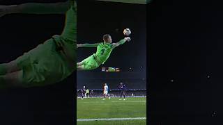 Unbelievable goalkeeping skills 🤯🤯 shorts soccer football [upl. by Makell931]