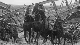 War Horses of WW1  Trailer [upl. by Anilem]