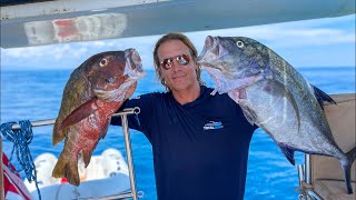 Clean and prepare Tuna Dog Snapper Jack amp Pompano LIVE [upl. by Afra]