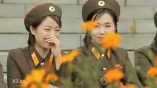 Extra3 Song Kim Jong Un Gangnam Style  Ich find peng peng geil [upl. by Nodab]