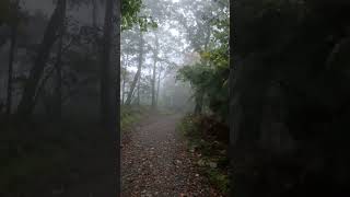 Hiking the Firetower trial at Moses Cone Blue Ridge Parkway asmroutdoors asmr asmrvideo fall [upl. by Quar130]