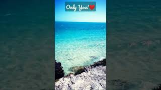 A Day in My Life in the Turks and Caicos Islands providenciales turksandcaicos shorts [upl. by Stephannie]