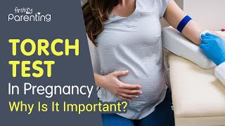 TORCH Test During Pregnancy  Why Is It Important [upl. by Turrell]