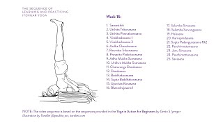 Week 15 Learning and Practicing Iyengar Yoga for Beginners [upl. by Anerdna]