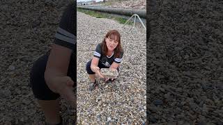 GCSE Geography coastal fieldwork techniques Sediment collection part 3 [upl. by Uticas]