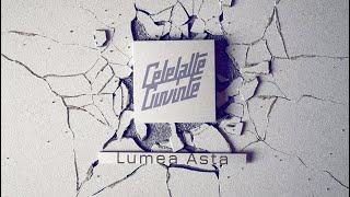 Celelalte Cuvinte  quotLumea astaquot official video [upl. by Luhar]