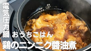 電気圧力鍋でほろほろ！鶏のニンニク醤油煮【おうちごはん】 [upl. by Erie127]