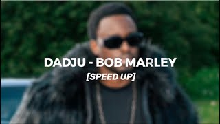 Dadju  Bob Marley speed up [upl. by Eimmij]