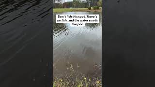 Fishing Spot Ruined 🤣 trending youtubeshort fishingvideo fishing [upl. by Zzahc]