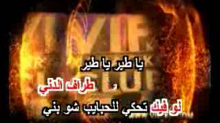 Melhem Zein Ya tayr 1 [upl. by Norrej]