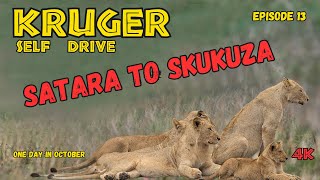 Where To Drive In Kruger Satara to Skukuza [upl. by Ursel]