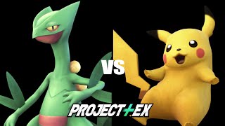 PEX Sceptile Vs Pikachu [upl. by Nohsyar]