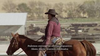 Gottsch Livestock Feeders  Feedlots Spanish Subtitles [upl. by Fey]