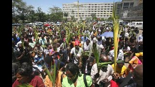 24032024  CAPUCHIN TV LIVE  PALM SUNDAY OF THE LORD’S PASSION  HOLY FAMILY BASILICA  NAIROBI [upl. by Hessney993]