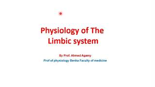 physiology of limbic system [upl. by Lorenza]