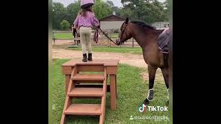 5yr old and pony jumping Enjoy this short video of Olivia riding her pony Pixi [upl. by Whallon938]