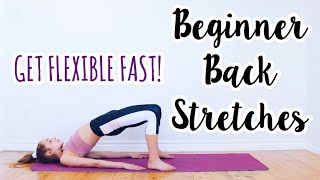 Back Stretches for the Inflexible Beginner Flexibility Routine [upl. by Hanforrd528]