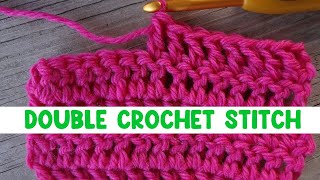 How to Work the Double Crochet Stitch [upl. by Ynnoj425]