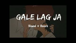 Gale Lag Ja Slowed Reverb Song  De Dana Dan  Akshay Kumar Katrina Kaif  𝐒𝐥𝐨𝐰𝐞𝐝  𝐑𝐞𝐯𝐞𝐫𝐛 [upl. by Saied]