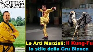 Le Arti Marziali Il KungFu  lo stile della Gru bianca [upl. by Aed]