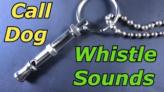 Dog Whistle Sound to Call Dog [upl. by Elbam]