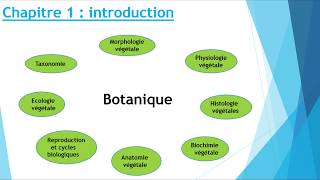 biologie végétale [upl. by Haukom]