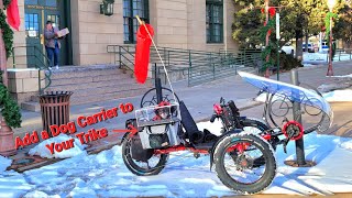 Add a dog carrier to Your Recumbent Trike [upl. by Omari613]