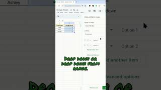 How to Create a DropDown List in Google Sheets [upl. by Dorfman]