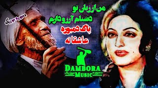 top the Best Dambora Ghamgin دمبوره دیوانگان [upl. by Tollman]