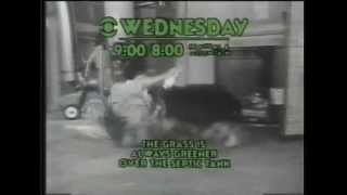 Erma Bombeck CBS Promo 1978 [upl. by Asiled]