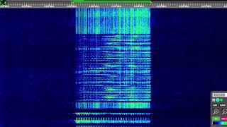 The Buzzer  4625kHz  1st Voice Message  20240704 [upl. by Vallo284]