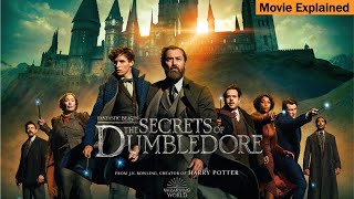 Fantastic Beasts The Secrets of Dumbledore  Full Movie Explained [upl. by Eeresid]