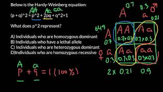 Hardy Weinberg Equation Explained [upl. by Enneiluj]