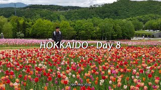 Hokkaido Day 8 of 8 🌷 Takino Suzuran Hillside Park Soup Curry Ramen Alley amp PostDinner Drinks [upl. by Aerdnwahs]