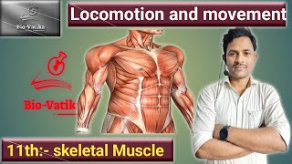 Bio vatika  class  11th II Locomotion and Movement  Skeletal Muscle I I [upl. by Aititel]