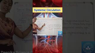 Systemic Circulation class10science deepikasciencecorner systemiccirculation bloodcirculation [upl. by Rosinski]