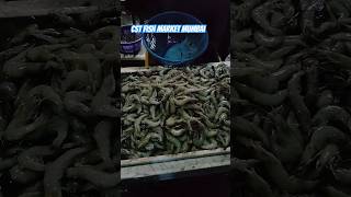 mumbai Colaba fish market video  kaki chi cuttingSkills agrikoli shorts fishingmarket [upl. by Lepper]