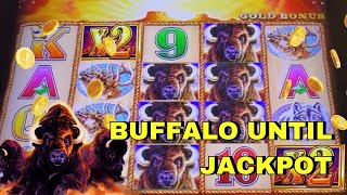 LETS GAMBLE FOR A BUFFALO GOLD JACKPOT [upl. by Espy]