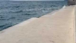 Sea Organ Zadar Croatia [upl. by Olivann]