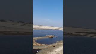 Picnic spot on the banks of the Brahmaputra nature [upl. by Caneghem99]