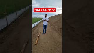 ሰብስክራይቨ እንዳይርሳ [upl. by Nnyltak]