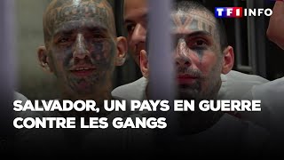 GRAND REPORTAGE  Salvador  un pays en guerre contre les gangs [upl. by Inor768]