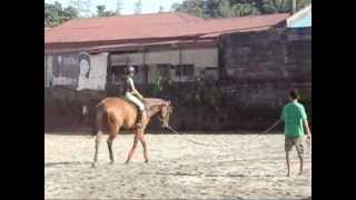 Julianas Yana Horseback Riding Lessons  Developing Balance  Exercises on Bareback Philippines [upl. by Trilby]