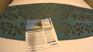 Royal Caribbean Oasis of the Seas Small Interior Stateroom Tour in 1080p [upl. by Kelvin]